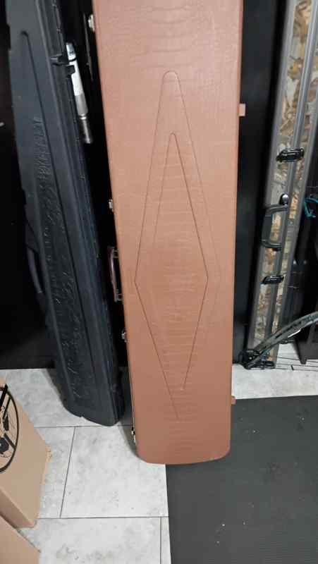 2 gun case 1 Gun guard case 1 proctor $70 for both