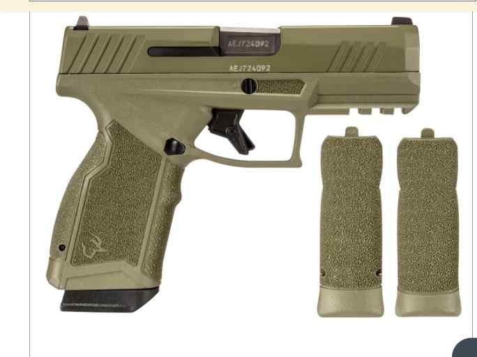 Taurus GX4 Carry 